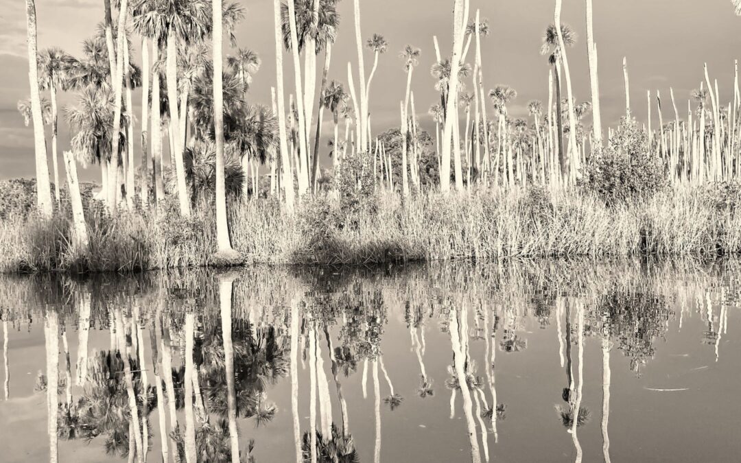 The Cost of Unowned Narrative Decisions