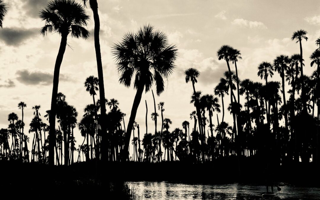 When Strategy Moves Faster Than Language